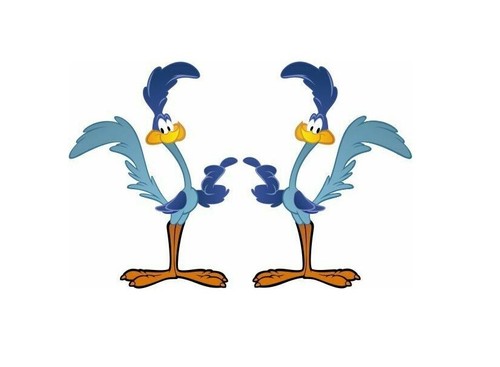 Road runner tramp aufkleber - runner,