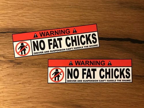 Fat chicks aufkleber - 2x,
